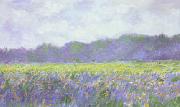 Claude Monet Field of Yellow Iris at Giverny Spain oil painting artist